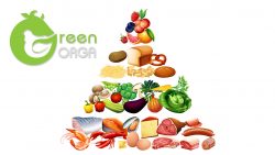 نشانه ها و عوارض کمبود پروتئین در بدن